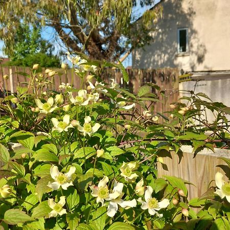 Waveney Villa เบลฟาสต์ ภายนอก รูปภาพ