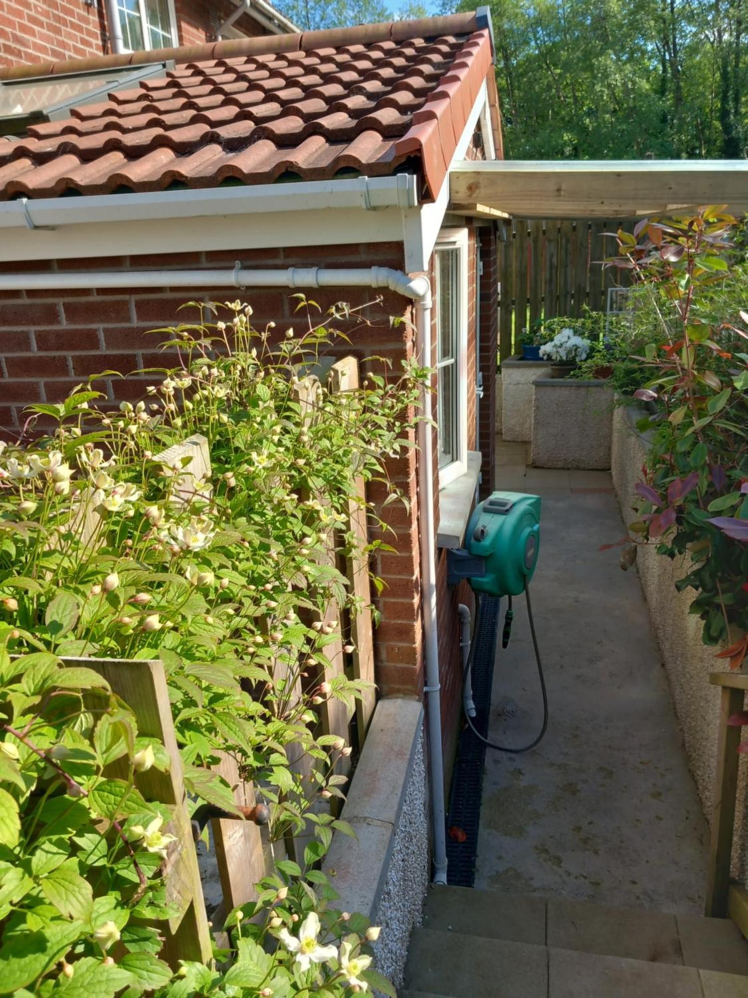 Waveney Villa เบลฟาสต์ ภายนอก รูปภาพ